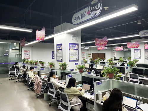 揚(yáng)州天貓國(guó)際自營(yíng)服務(wù)中心迎咨詢高峰，300名大學(xué)生支援客服工作